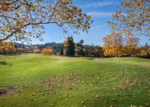 A golf course with bright green grass and scattered fallen leaves, surrounded by autumn trees with orange and yellow foliage under a clear blue sky—a perfect scene for a marketing agency's web site design.