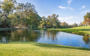 A serene pond surrounded by green grass and tall trees under a bright blue sky with scattered clouds, creating an ideal spot for digital marketing inspiration in a park-like setting.
